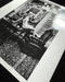 Helmut Newton Charlotte Rampling Hotel Nord 1975 vintage silver gelatin print nude portrait on table, Arles France 20x24