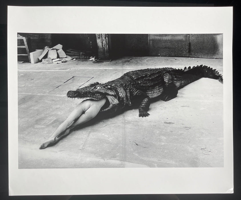 Alt Tag: Helmut Newton Crocodile Eating Ballerina vintage silver gelatin print 20x24 photo of crocodile biting ballerina, Wuppertal 1983
