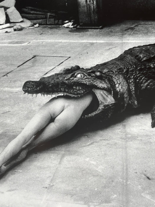 Helmut Newton Crocodile Eating Ballerina vintage silver gelatin print, Pina Bausch ballet Wuppertal 1983 surreal photograph