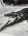 Helmut Newton Crocodile Eating Ballerina vintage silver gelatin print, Pina Bausch ballet Wuppertal 1983 surreal photograph