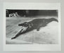 Helmut Newton Crocodile Eating Ballerina vintage silver gelatin print - Pina Bausch ballet Keushleitslegende Wuppertal 1983