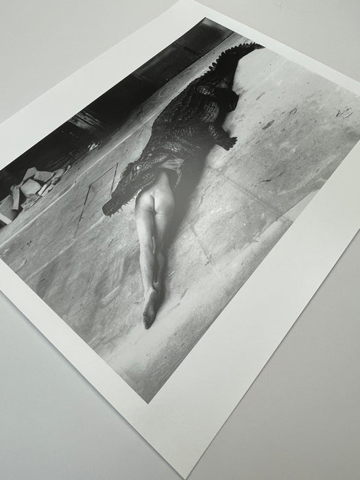 Helmut Newton Crocodile Eating Ballerina vintage silver gelatin print, surreal Wuppertal 1983 ballet photo on paper