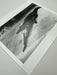Helmut Newton Crocodile Eating Ballerina vintage silver gelatin print, surreal Wuppertal 1983 ballet photo on paper