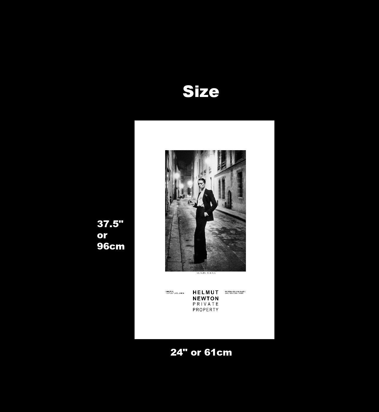Helmut_Newton_Rue_Aubriot_Poster_Size_Image_copy