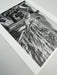 Helmut Newton Winnie On Deck Cannes 1975 vintage silver gelatin print, 20x24 photo of Winnie Holman on yacht deck at sea