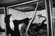 Alt Tag: Helmut Newton Woman with Snake Berlin 1979 vintage silver gelatin print black-and-white woman reaching toward snake in glass enclosure
