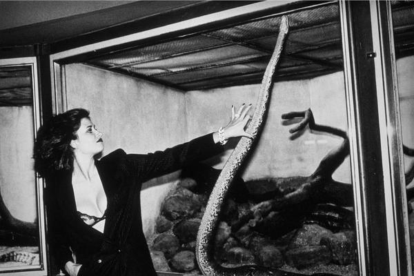 Alt Tag: Helmut Newton Woman with Snake Berlin 1979 vintage silver gelatin print black-and-white woman reaching toward snake in glass enclosure